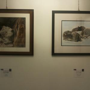 ARTEMISIA INAUGURAZIONE