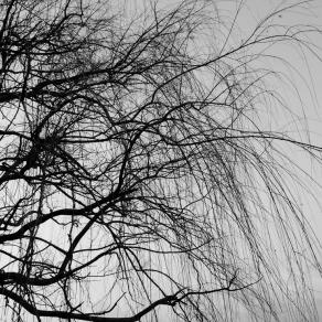 Per tutto quello che non ti ho detto 