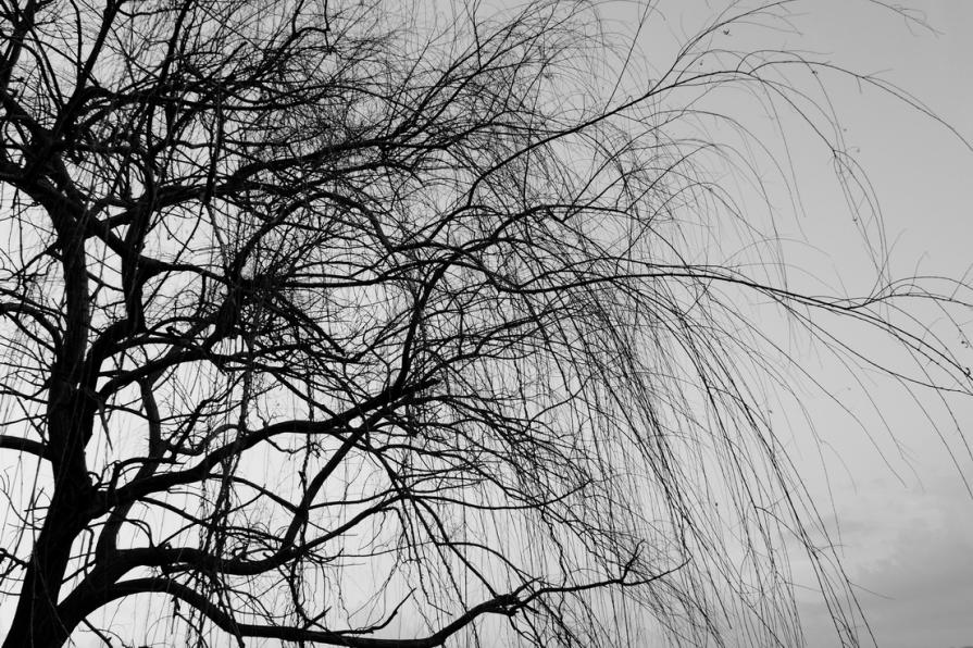 Per tutto quello che non ti ho detto 