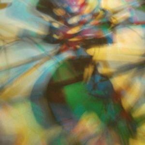 I colori della biodiversità -2015