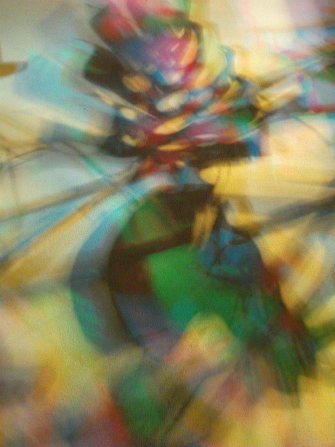 I colori della biodiversità -2015