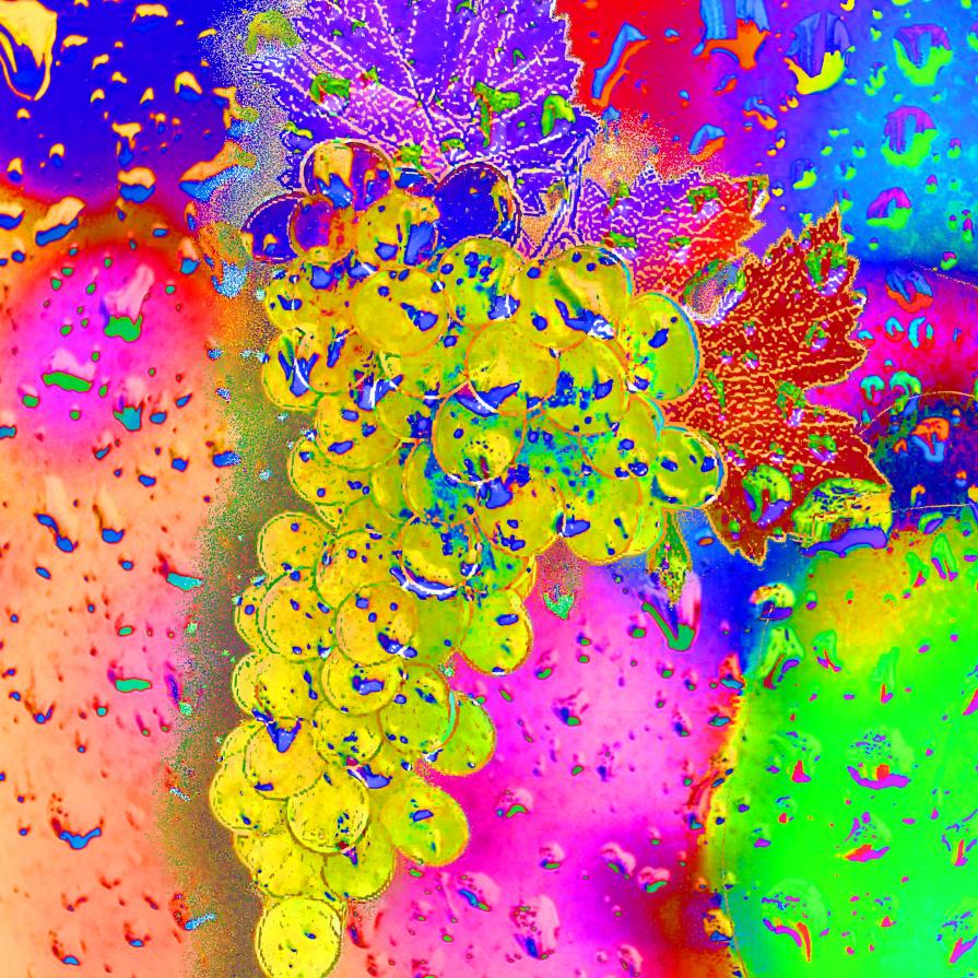 . . . l'uva maturerà !!! . . . 