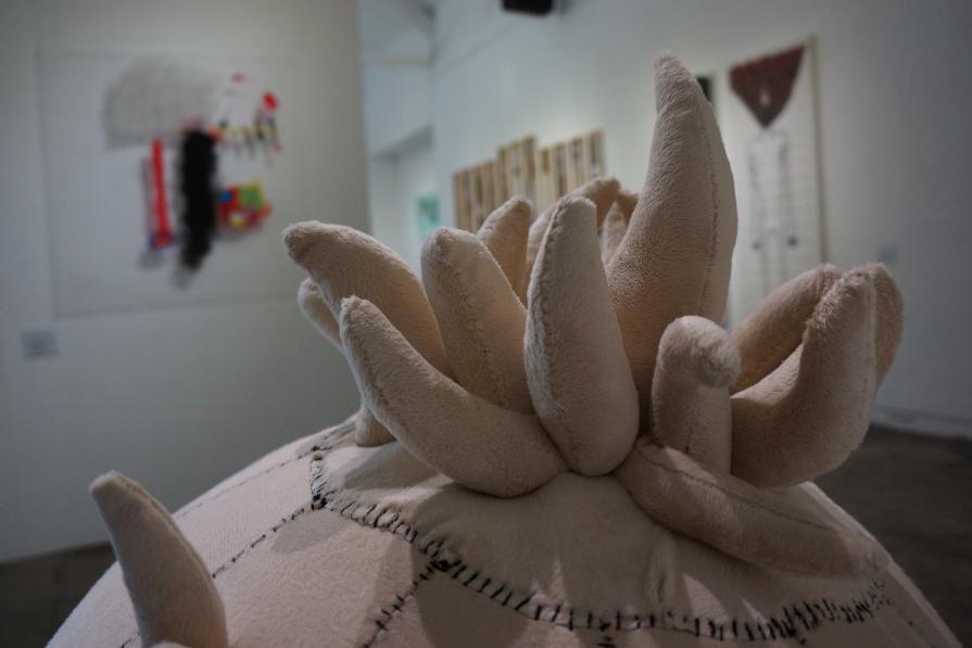 A Delusion to Kill My Noisy Neighbour