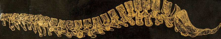 Imperishable Relics (Spine)