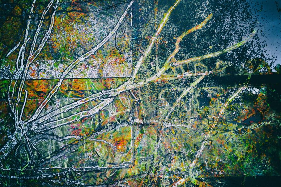 La natura è sempre più forte rispetto alla mia confusione   - Nature is always stronger than my confusion -