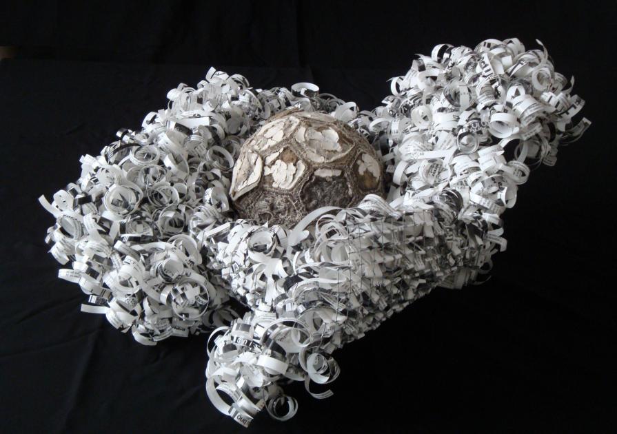 IL CAVOLO PERMANENTE DI WILSON