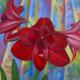 Amaryllis
