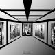 Art gallery n7