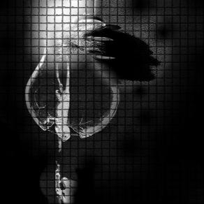 Se non ti arrampichi, non puoi cadere. Ma vivere tutta la vita sul terreno non ti darà gioia.