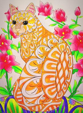 ...Il gatto gentile...