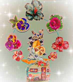 Spring collection .... 1