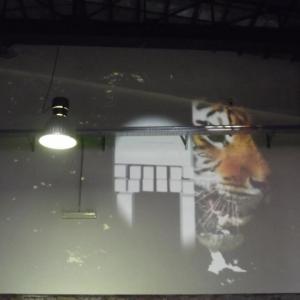 5 Elementi 5 Legno - Fuoco -Terra - Metallo - Acqua / Armonie e contrasti della natura attraverso l’Arte e il Feng shui 5 Elementi 5 Legno - Fuoco -Terra - Metallo - Acqua / Armonie e contrasti della natura attraverso l’Arte e il Feng shui