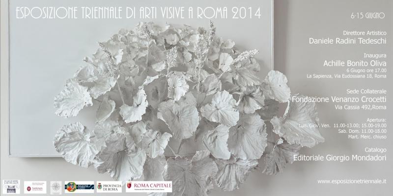 Esposizione Triennale Arti Visive a Roma 2014
