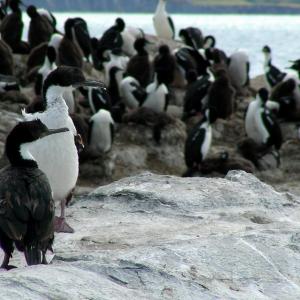 Argentina, Patagonia