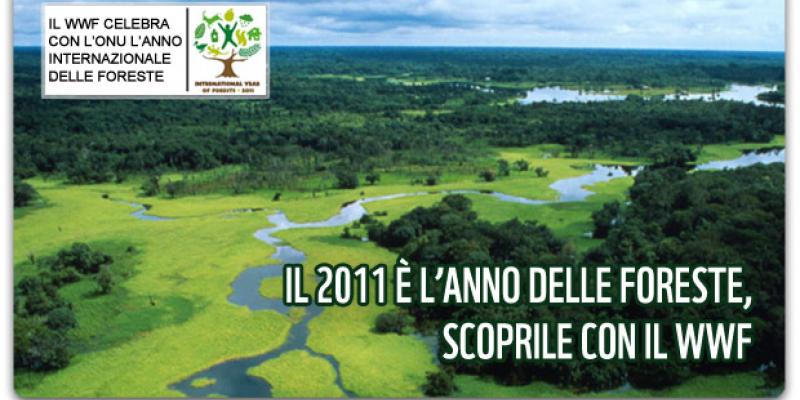 "Call of the Wild" Expo International Visual Arts "Call of the Wild" Expo International Visual Arts