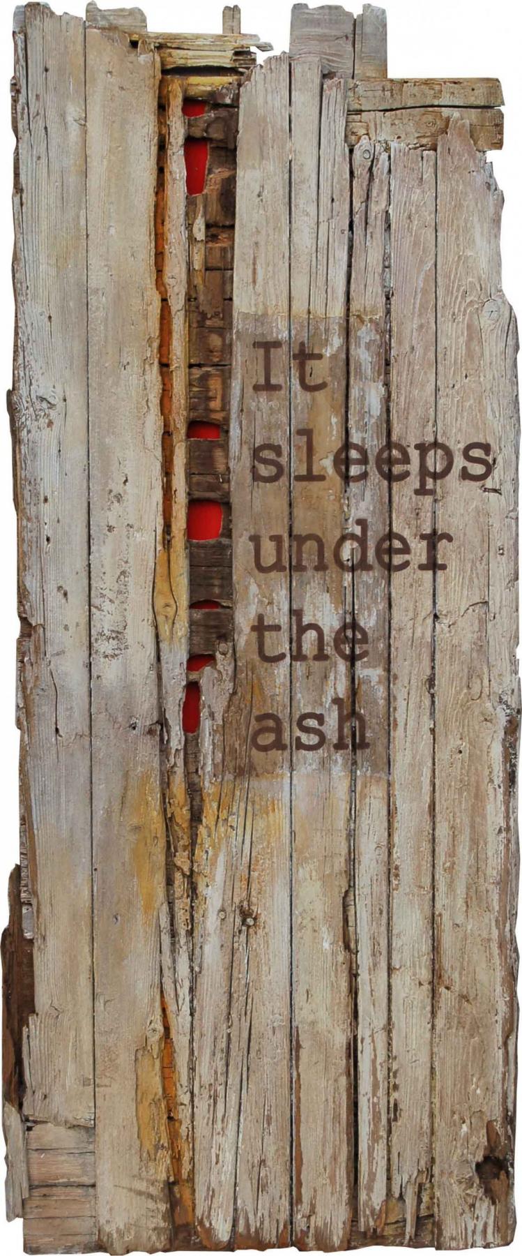 La Materia Ri-Nata - XI edizione Esposizione di Eco-Arte La Materia Ri-Nata - XI edizione Esposizione di Eco-Arte