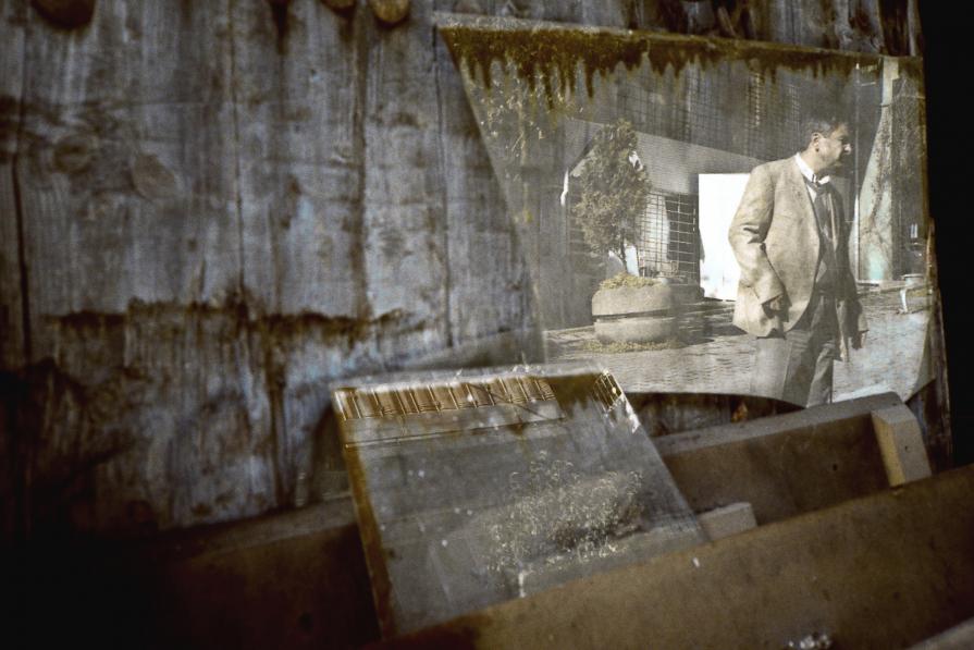 Turkish Coffee - Çucurcuma Turkish Coffee - Çucurcuma