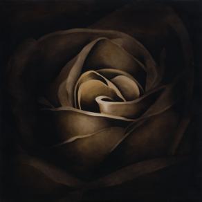 senza titolo (nel cuore della rosa)