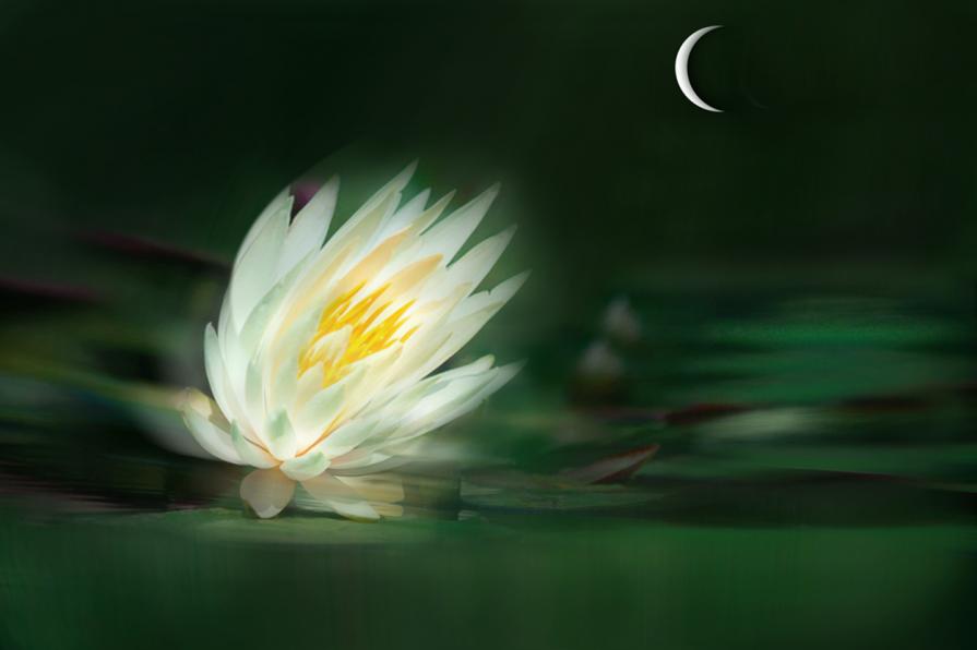 attrazzione fatale...