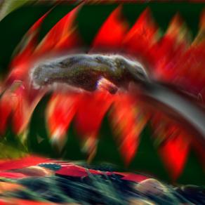 aguato al jurassic park.