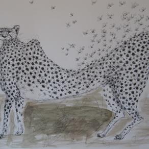 Da"Manuale di zoologia personale"