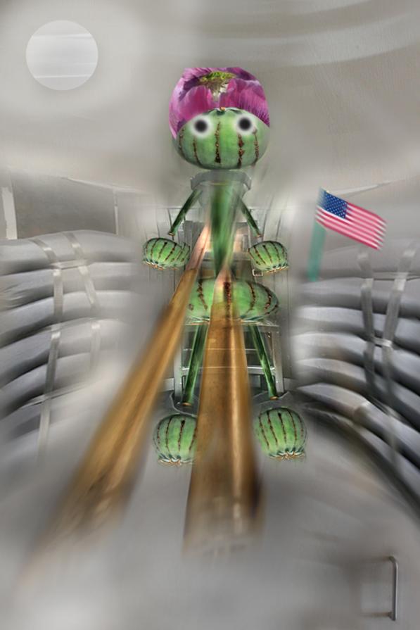 La Signora Oppio un fiore geneticamente mutato,portato ad un esecuzione capitale,in un paese dove DEMOCRAZIA è scritta in MAIUSCOLO.