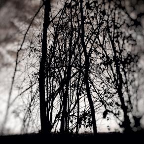 Vicino alla fine dei pensieri 