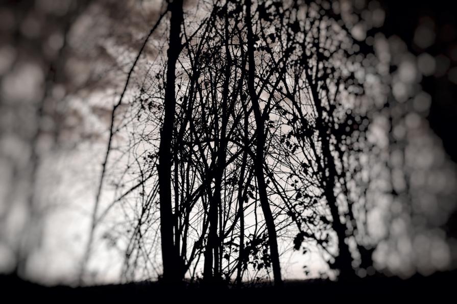 Vicino alla fine dei pensieri 