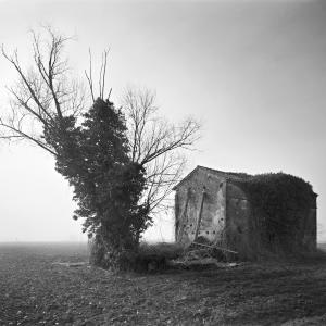 45.223398, 11.815990 Vanzo, Padova 45.223398, 11.815990 Vanzo, Padova