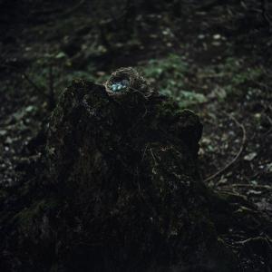 Ariane  Johnston Breen - Fears, Fantasies and the Familial