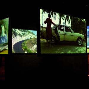 The Connivance of Watching Birds The Connivance of Watching Birds