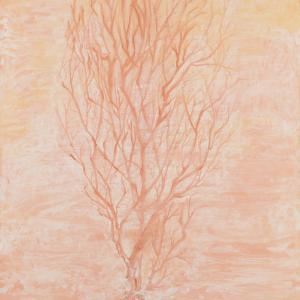 Memories, haziness and trace Memories, haziness and trace