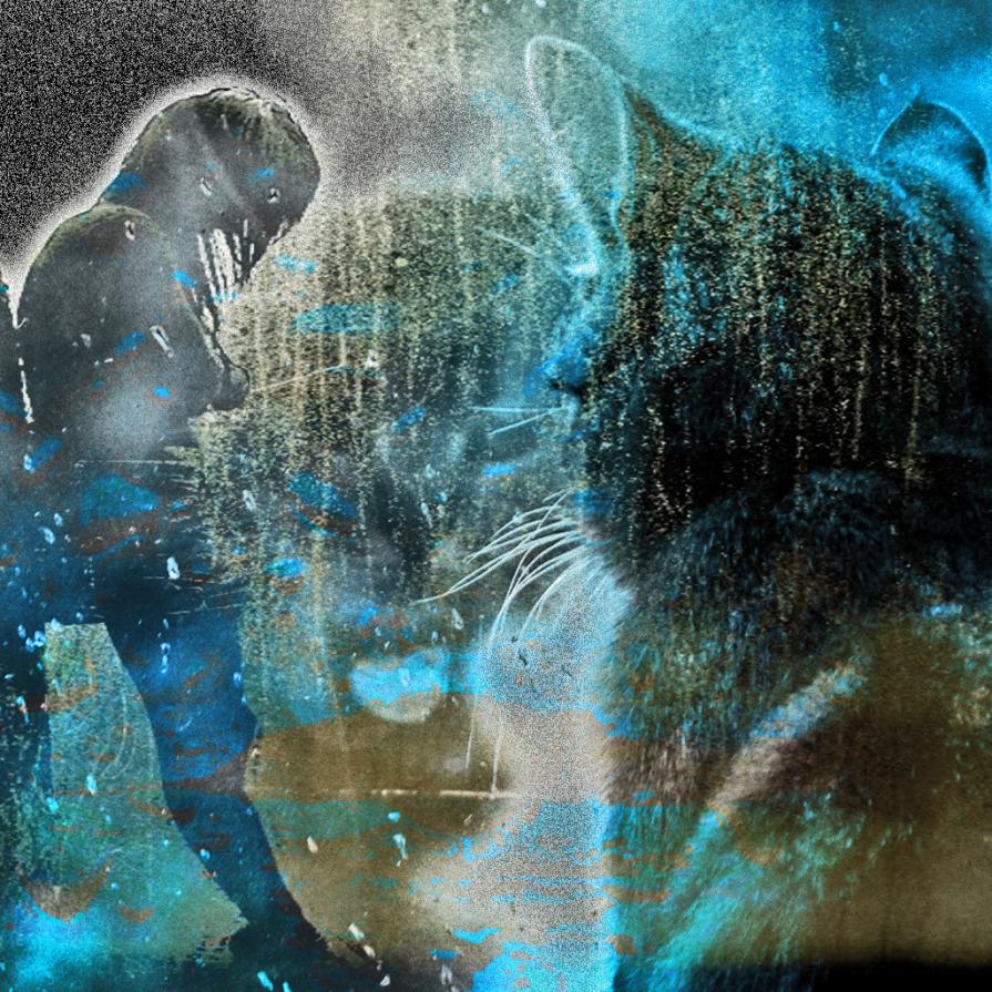 ...Cosi' mi manchi ...