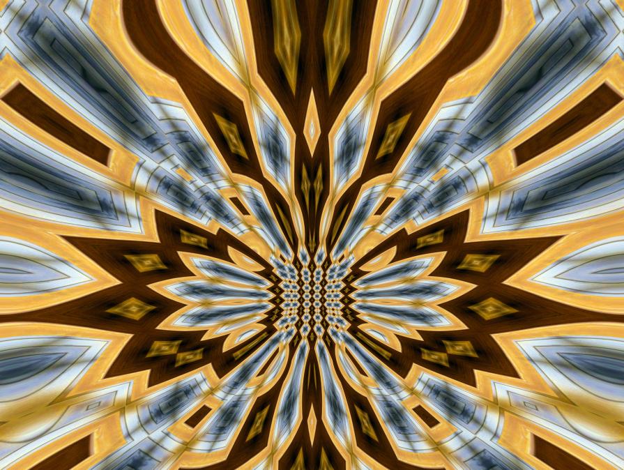 kwiaty mojego ogrodu