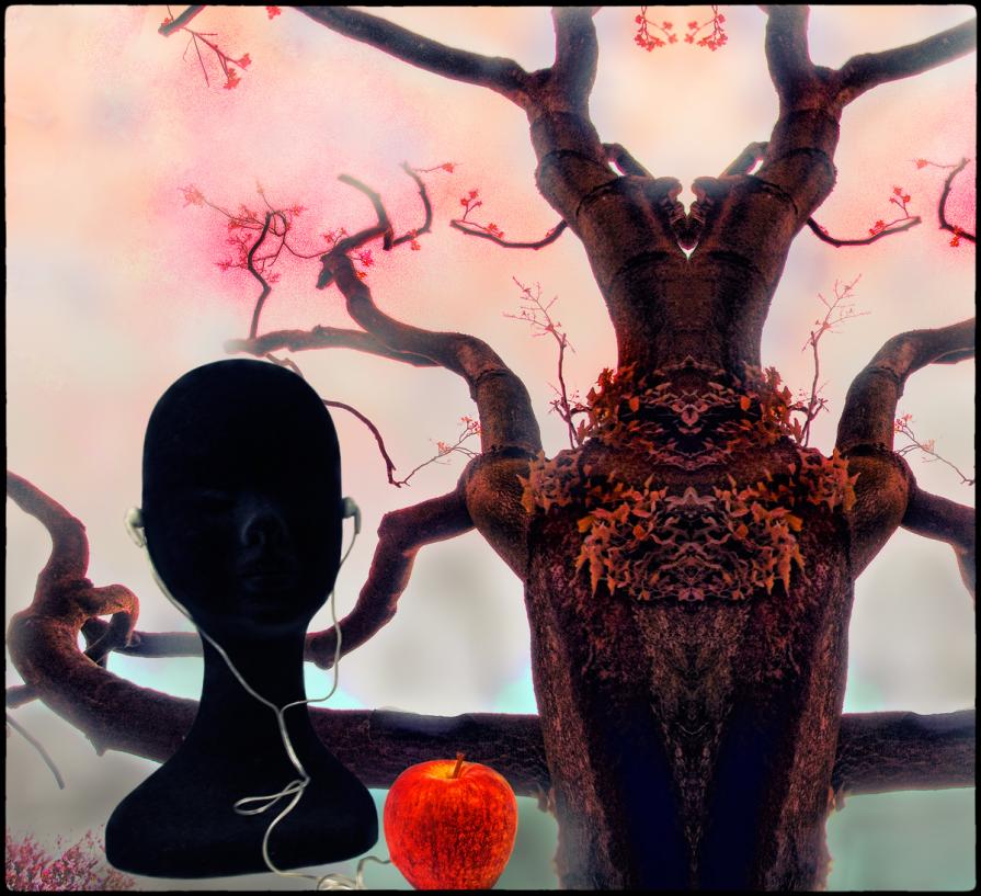 Proclamazione Dell'anima In Rosa