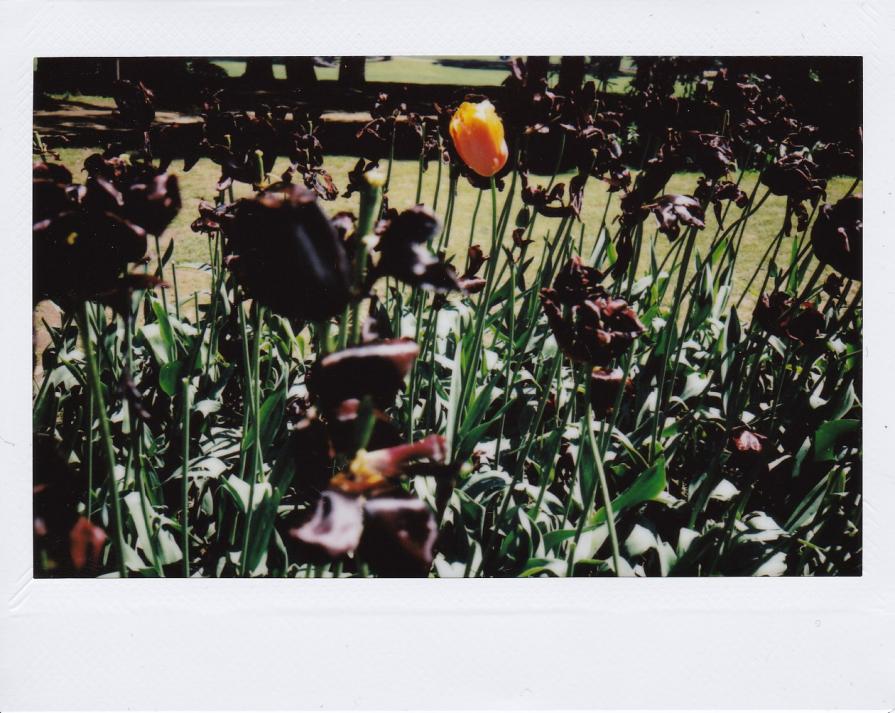 L'amore più disperato nella classifica degli amori disperati