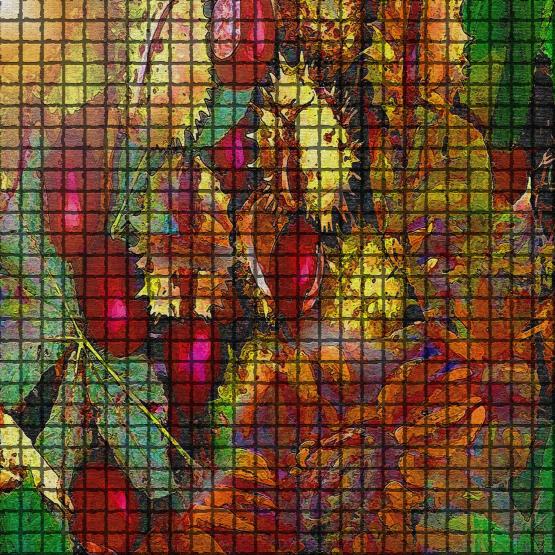 La sera i sogni diventano speranze...!!!