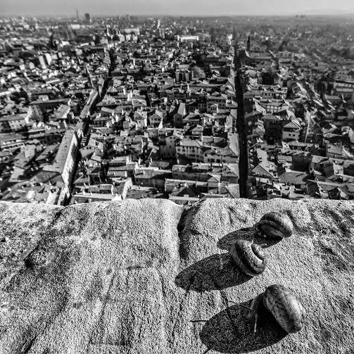 FOTOGRAFIA EUROPEA - VIAGGIO LENTO SULLA SS9 FOTOGRAFIA EUROPEA - VIAGGIO LENTO SULLA SS9