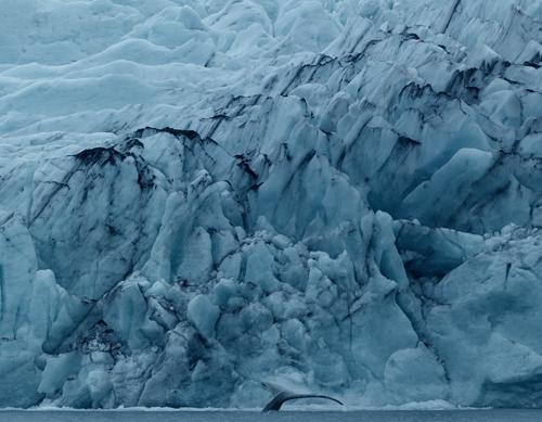 In meraviglia percorrendo le distanze In meraviglia percorrendo le distanze