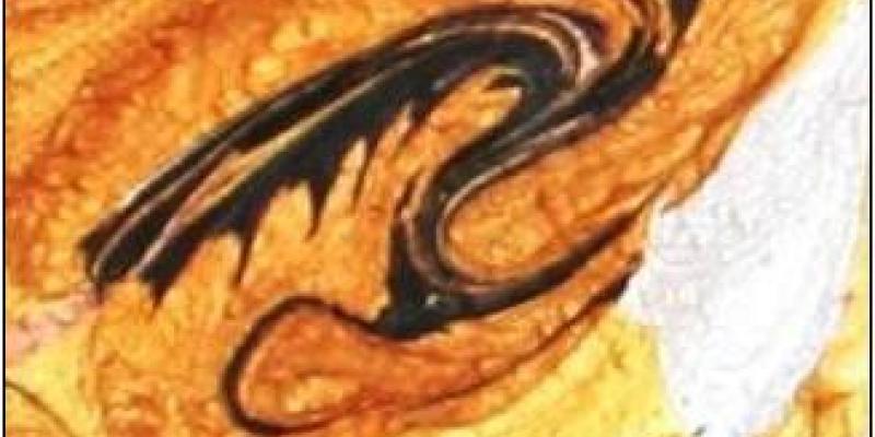 ASTA D’ARTE BENEFICA “L’ARTE DELL’ANIMA” ( Più cuore nelle mani ). Asta di beneficenza in favore delle popolazioni alluvionate delle Regioni Toscana e Liguria.