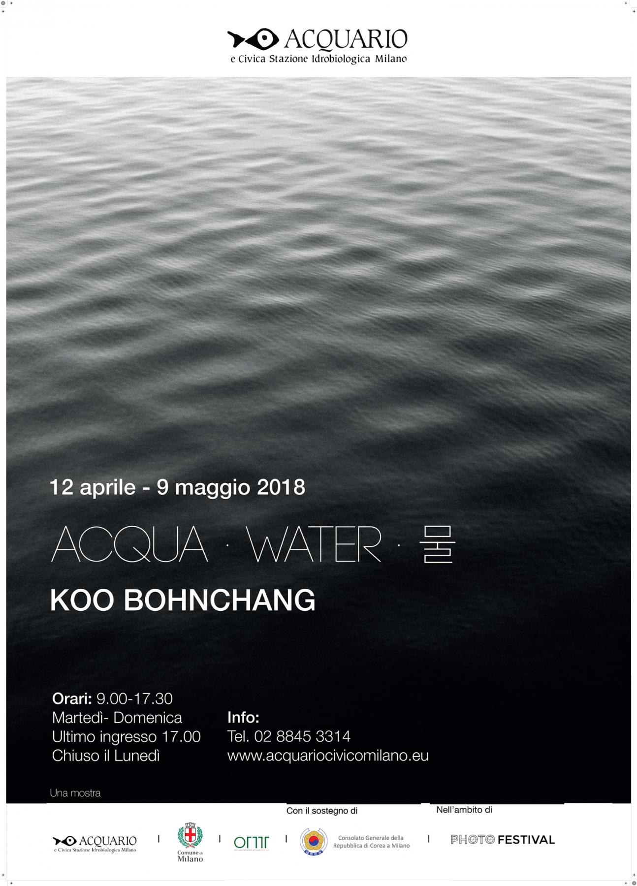 Acqua | Water | 물 -