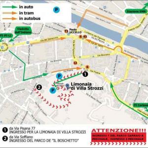 Alessandro Gambetti - Visionary