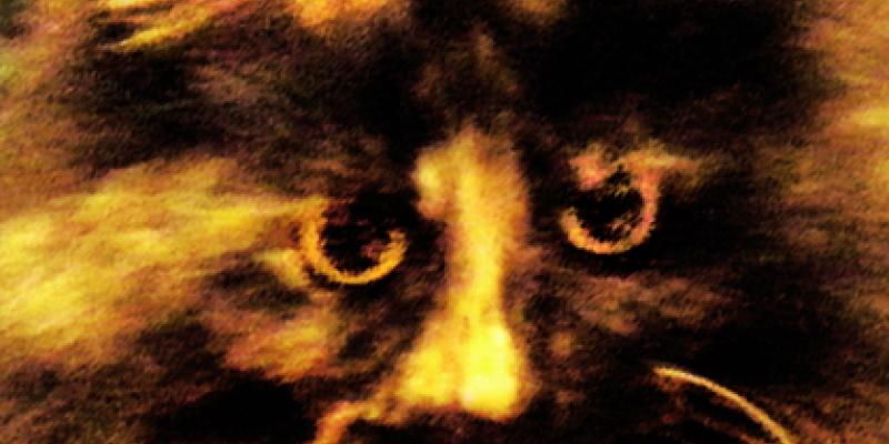 Exhibition 'Scintille d'Arte a Portovenere'