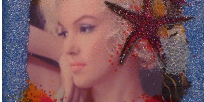 "Un Fiore Bianco" di Omar Ronda "Un Fiore Bianco" di Omar Ronda