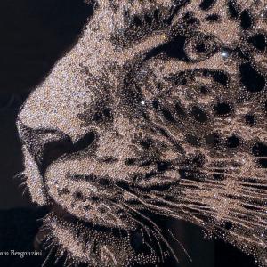 ANIMALS ART al Club La Meridiana di Modena