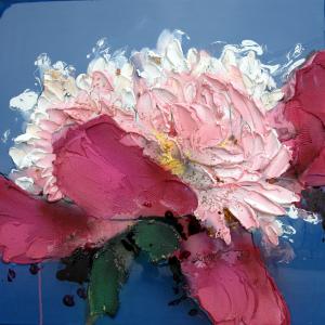 I colori delle peonie