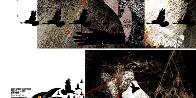 HUNT CROWS HUNT CROWS