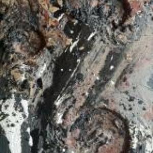 Intervista a Michela Volpini