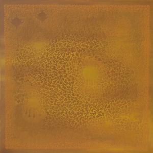 Particelle Elementari Particelle Elementari