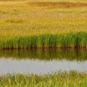 USA. Alaska 3/3. A survey of the pure